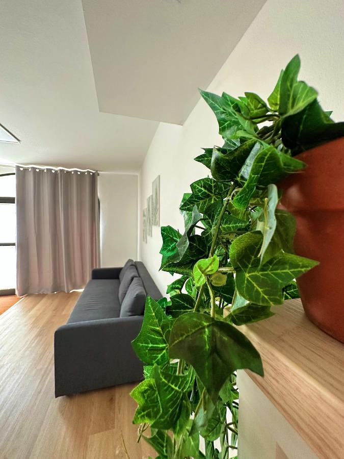 In Mezzo All'Aria Apartment Mezzolara 외부 사진